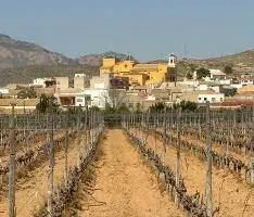 BUNGALOWS DE OBRA NUEVA EN HONDON DE LAS NIEVES