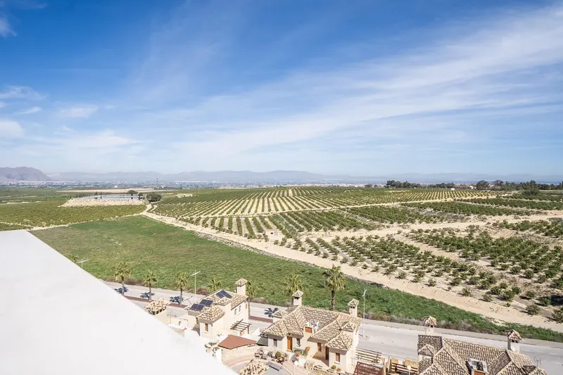 New Build Villas with Private Pool in La Finca Golf Algorfa Costa Blanca South