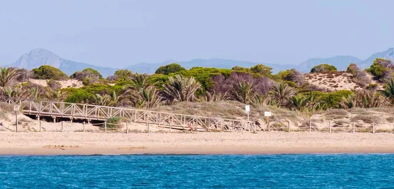 Apartamentos de nueva construcción en el centro de Guardamar del Segura, Costa Blanca