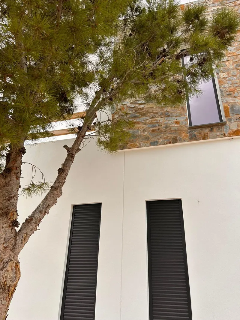 Nowe wille budowane na zamówienie w Pinoso (Alicante): przestronne domy w otoczeniu natury